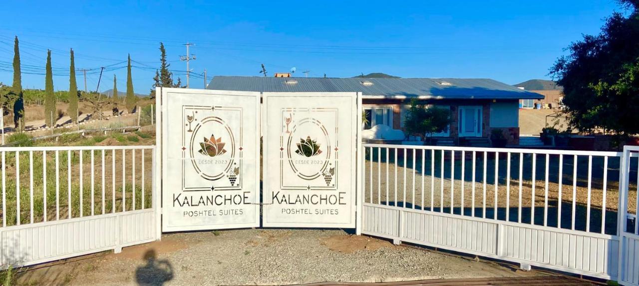 Kalanchoe Poshtel Suites Las Palmas  Buitenkant foto
