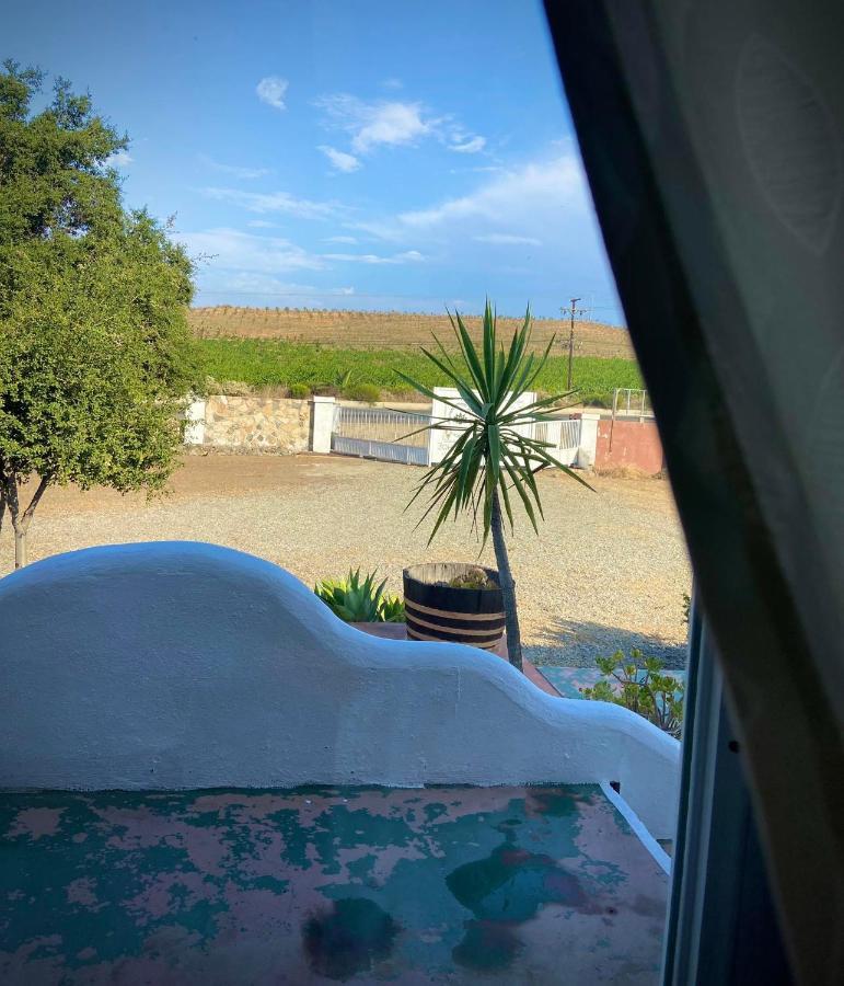 Kalanchoe Poshtel Suites Las Palmas  Buitenkant foto