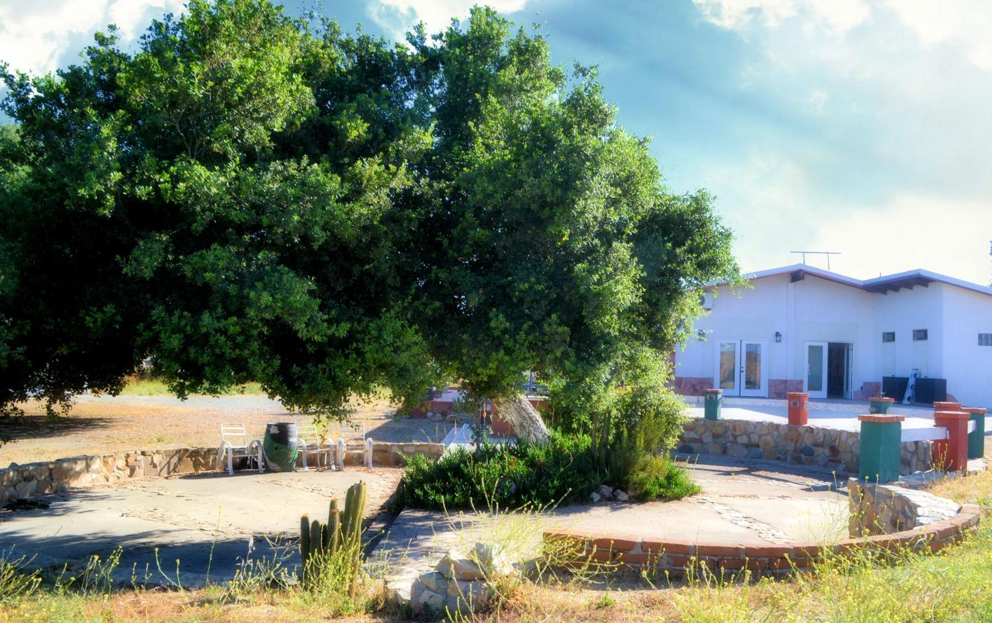 Kalanchoe Poshtel Suites Las Palmas  Buitenkant foto
