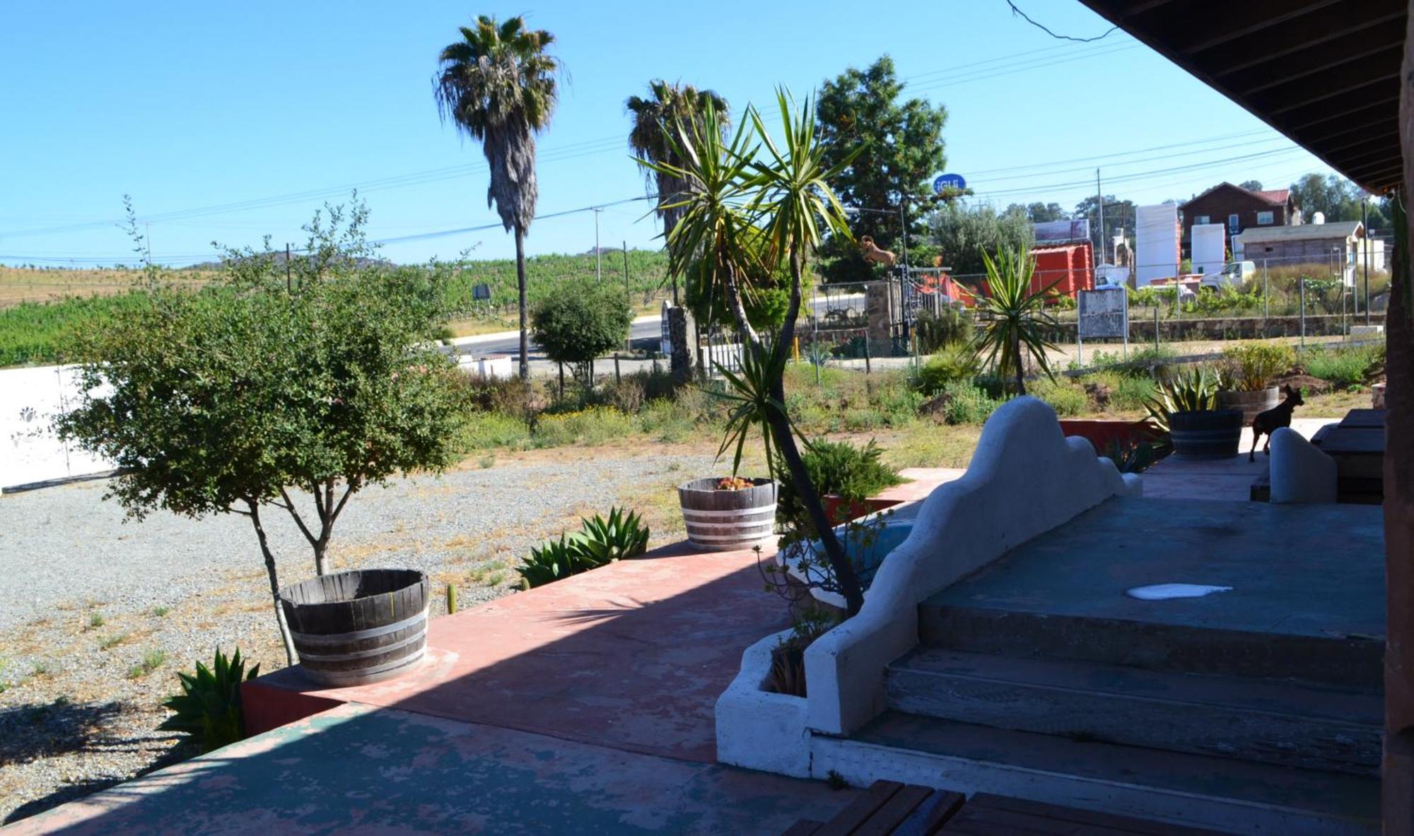 Kalanchoe Poshtel Suites Las Palmas  Buitenkant foto